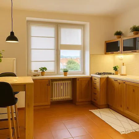 Apartment Budovatelska